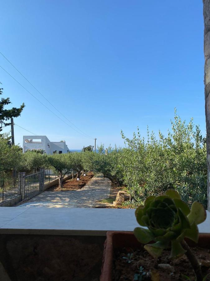 Villa L'Orizzonte Di Calabianca Castellammare del Golfo Eksteriør billede