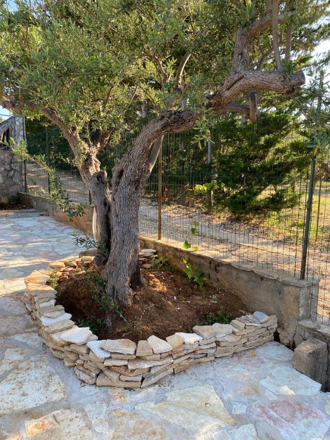 Villa L'Orizzonte Di Calabianca Castellammare del Golfo Eksteriør billede