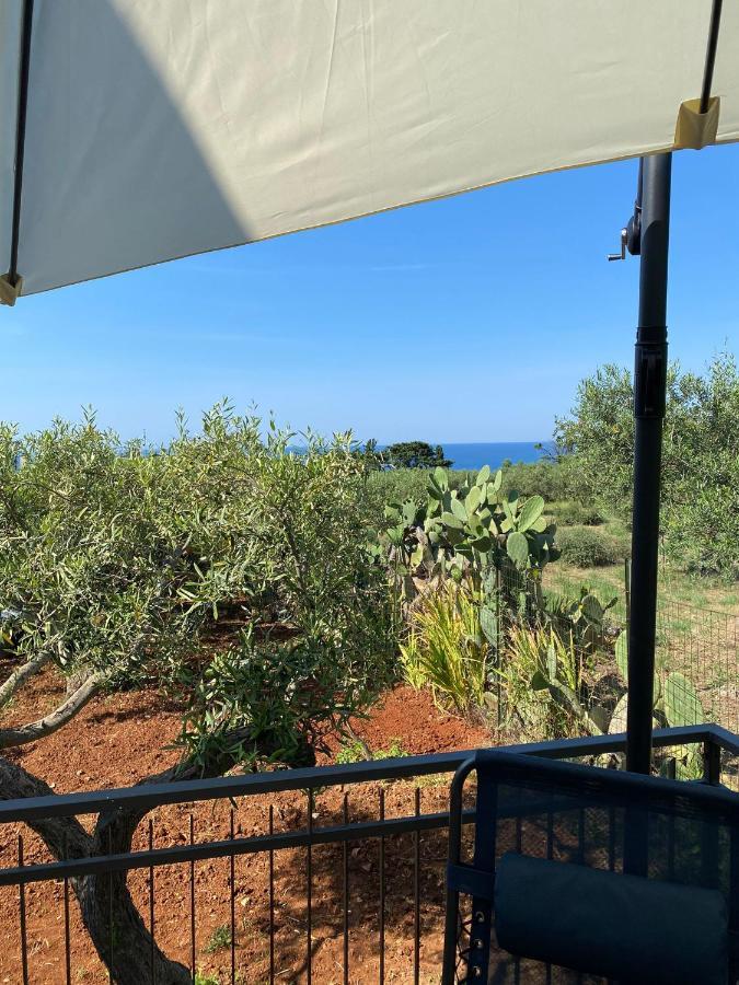 Villa L'Orizzonte Di Calabianca Castellammare del Golfo Eksteriør billede
