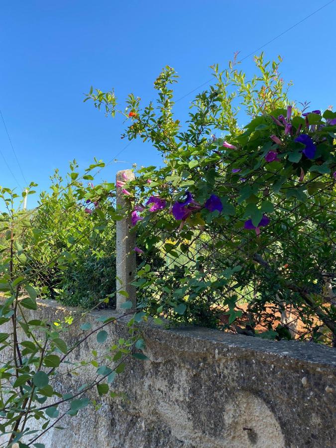 Villa L'Orizzonte Di Calabianca Castellammare del Golfo Eksteriør billede