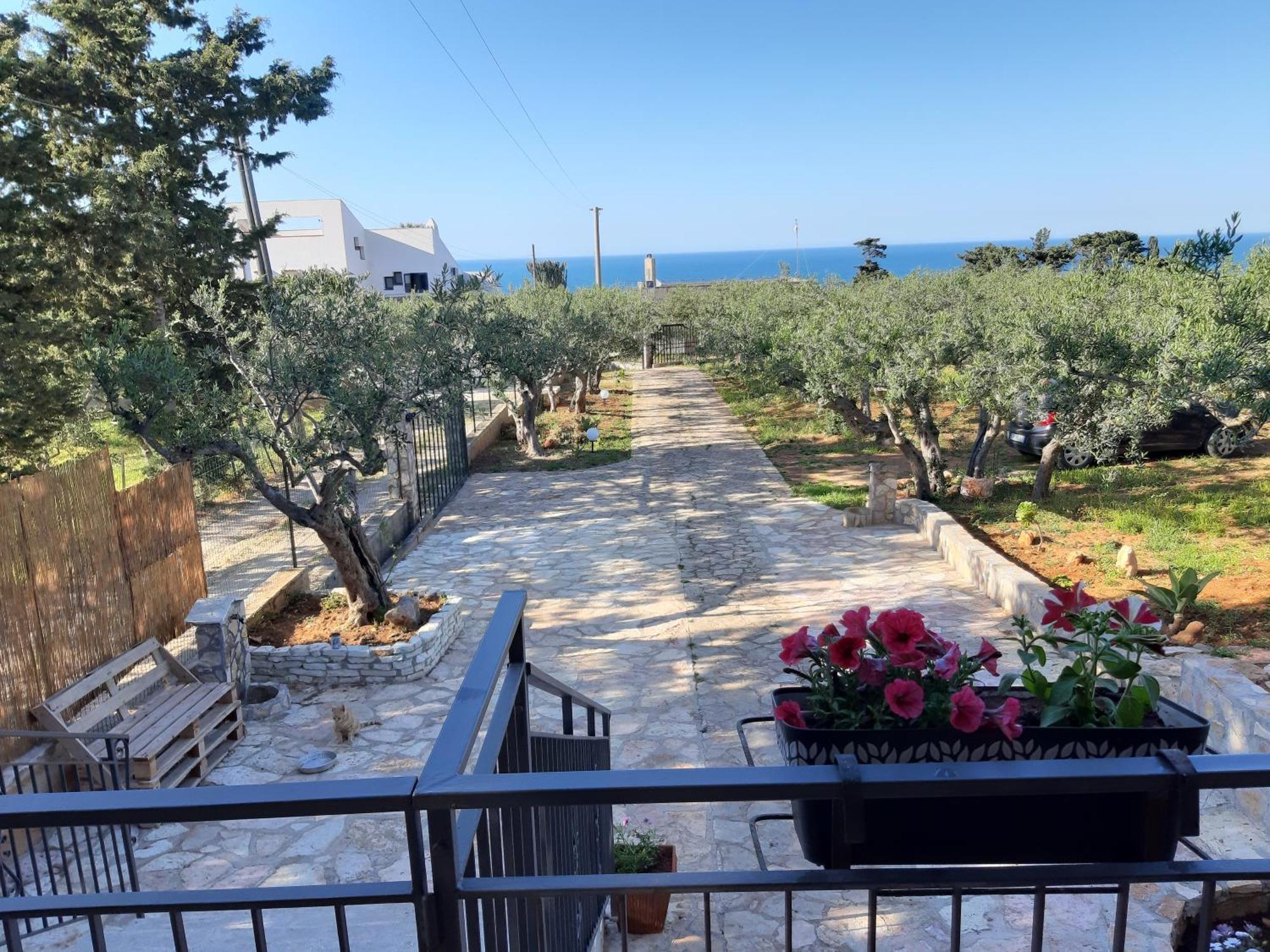 Villa L'Orizzonte Di Calabianca Castellammare del Golfo Eksteriør billede