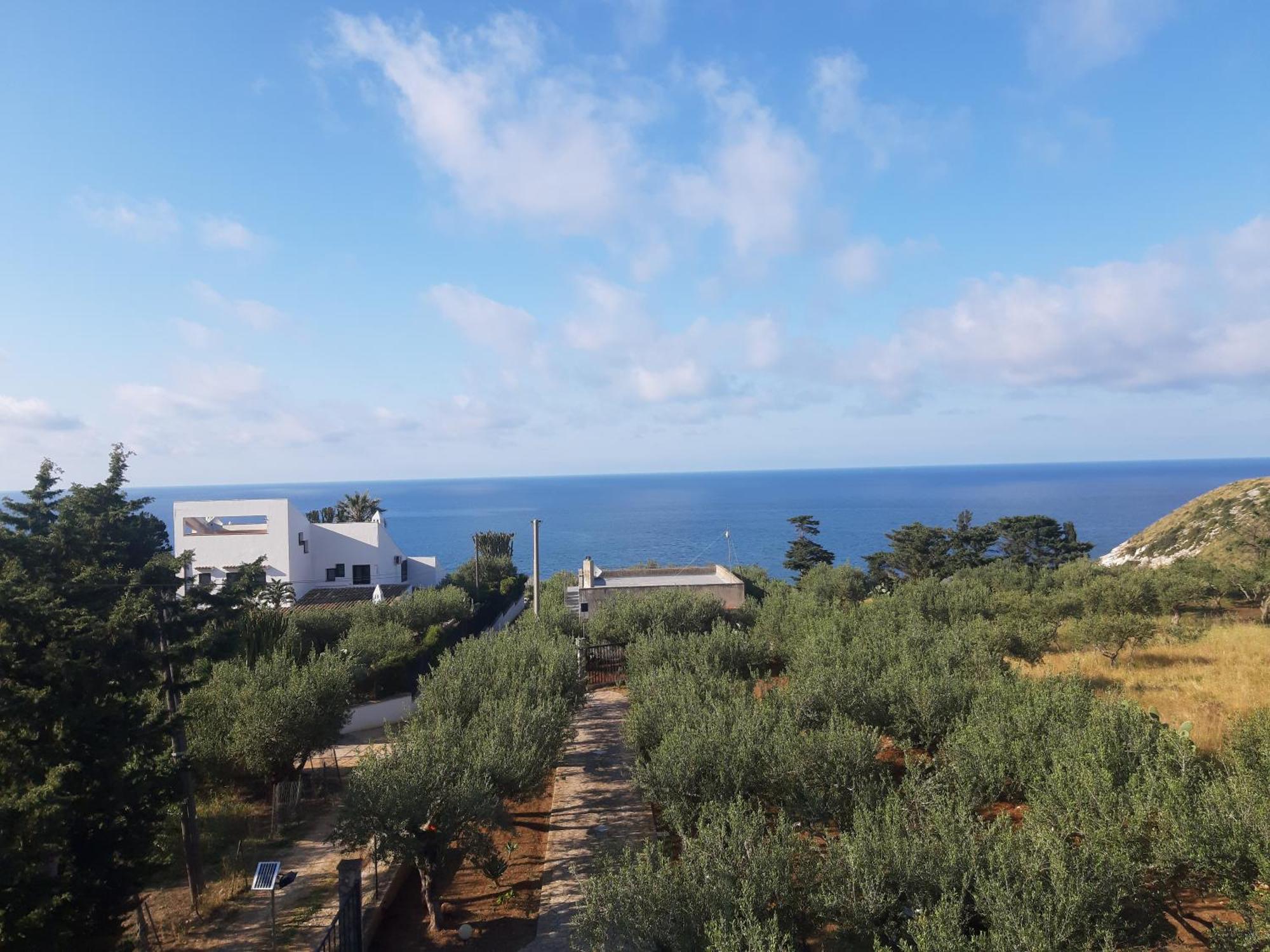 Villa L'Orizzonte Di Calabianca Castellammare del Golfo Eksteriør billede