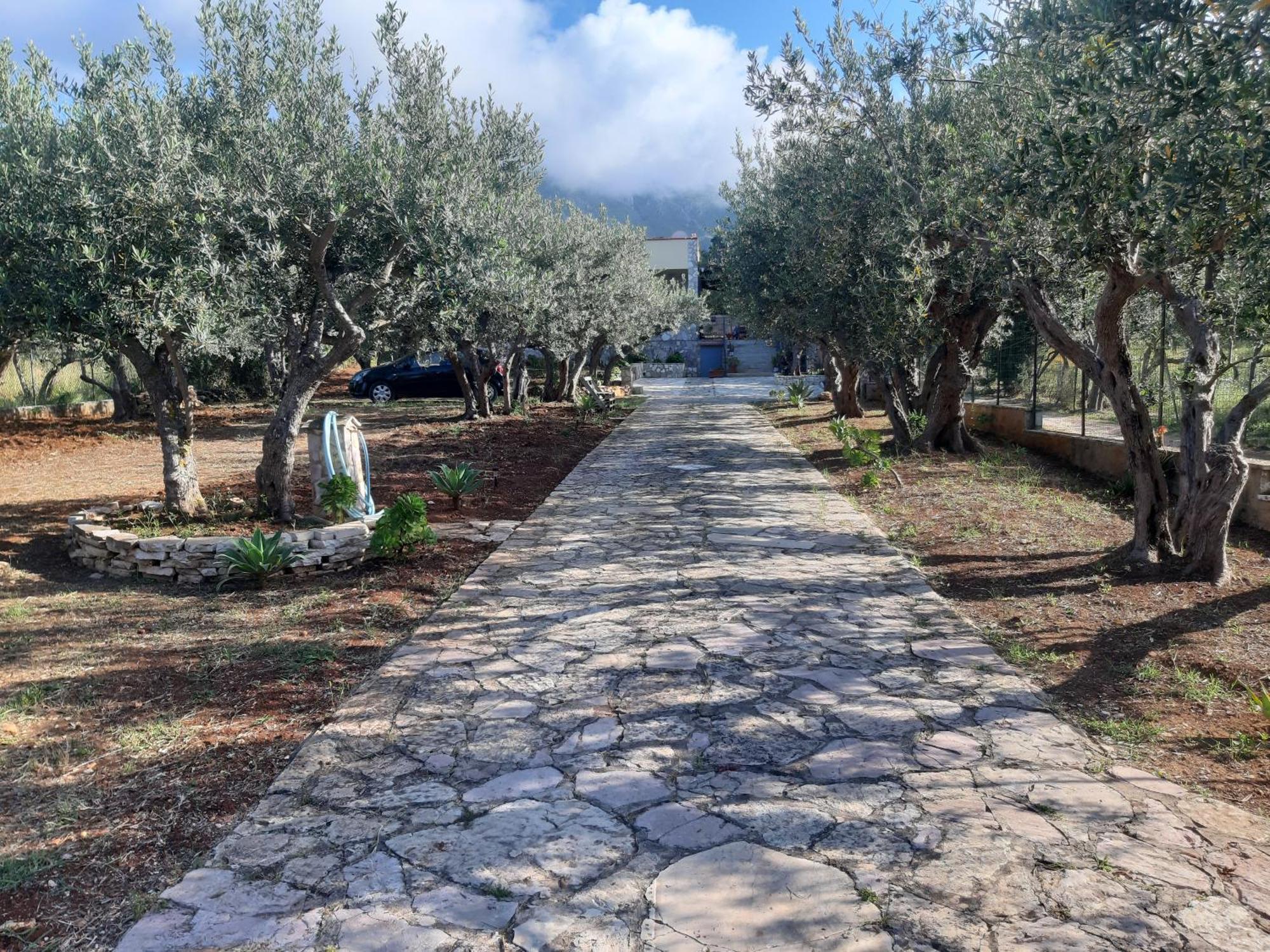 Villa L'Orizzonte Di Calabianca Castellammare del Golfo Eksteriør billede