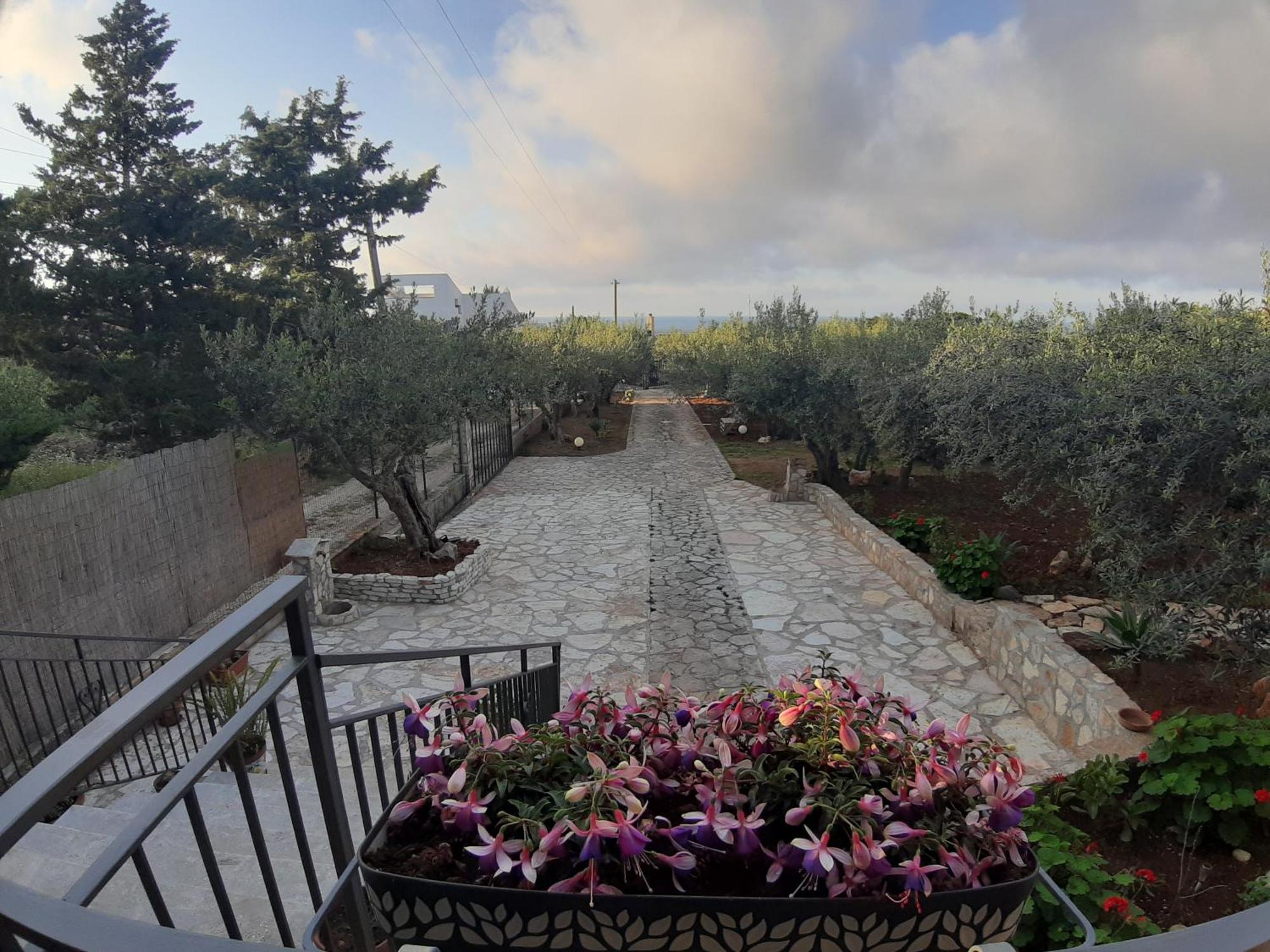 Villa L'Orizzonte Di Calabianca Castellammare del Golfo Eksteriør billede